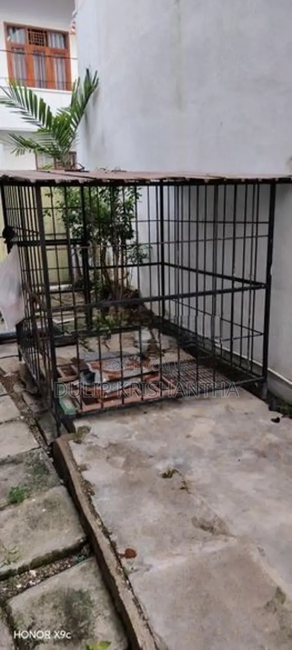 Dog Cage