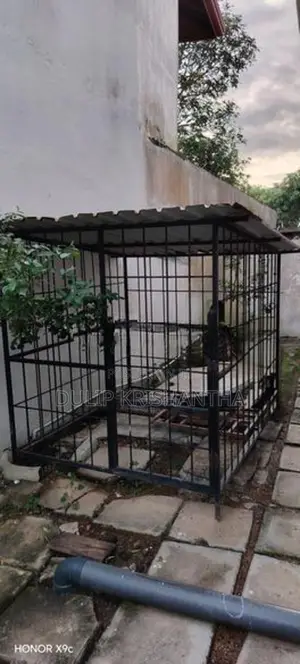 Dog Cage