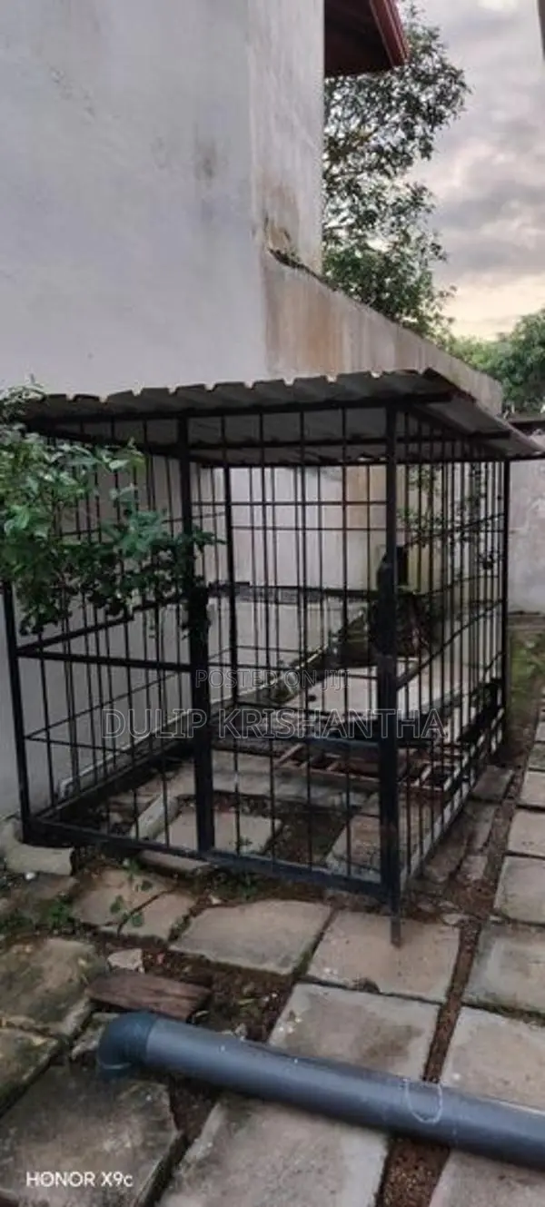 Dog Cage
