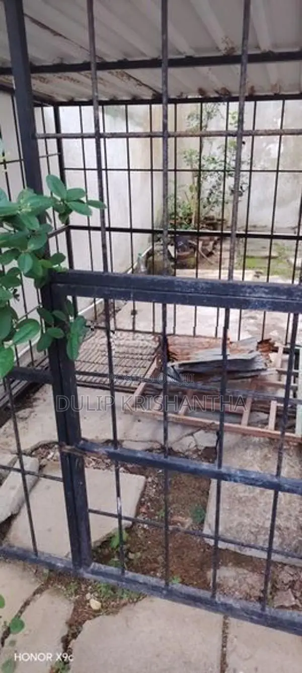 Dog Cage