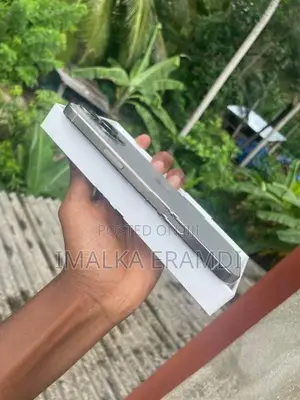 Apple iPhone 16 Pro Max (Used)