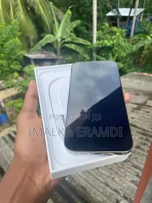 Apple iPhone 16 Pro Max (Used)
