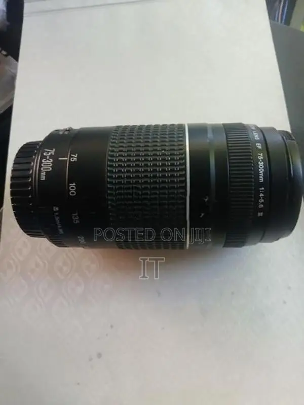 Canon 75-300mm Lens