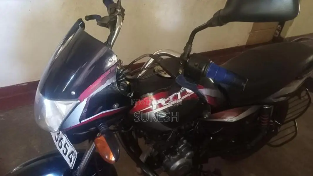 Bajaj Platina 2010