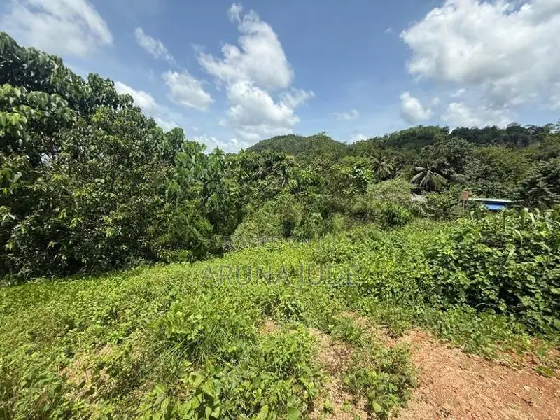 Colombo Land for Sale - Padukka