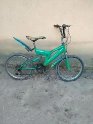 Mountain Bicycle