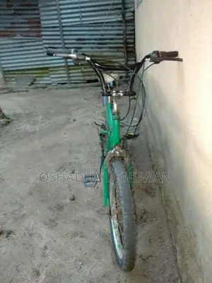 Mountain Bicycle