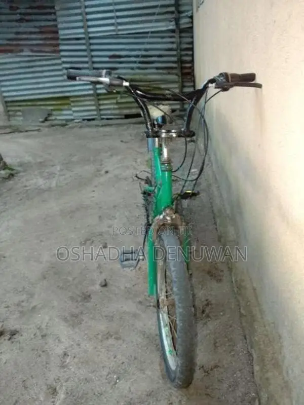 Mountain Bicycle