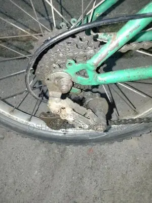 Mountain Bicycle