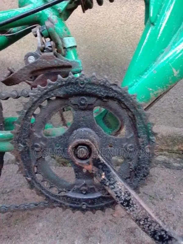 Mountain Bicycle
