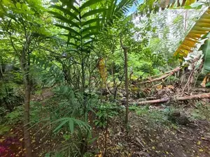 7 Perches Residential Bare Land For Sale Nugegoda