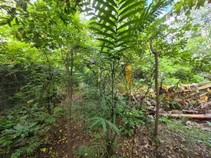 7 Perches Residential Bare Land For Sale Nugegoda