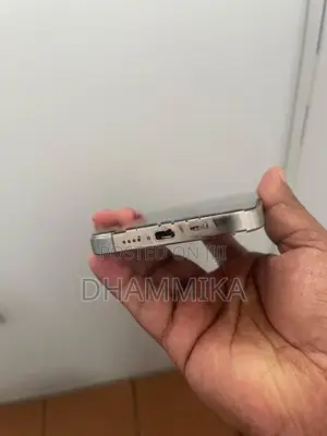 Apple iPhone 15 Pro Max (Used)