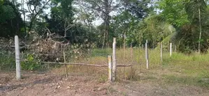 Land for Sale Pitipana