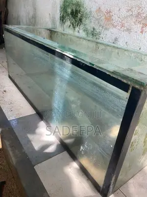 Fish with Tank