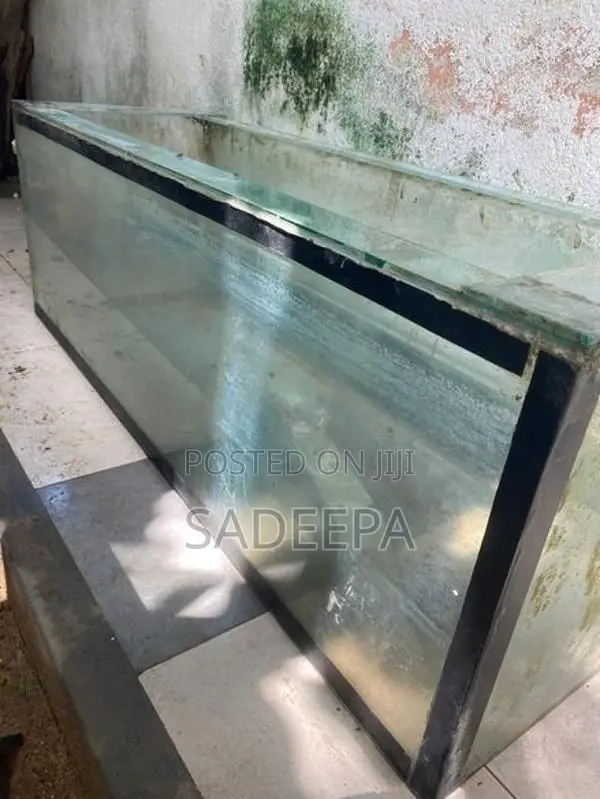 Fish with Tank