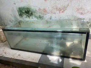 Fish with Tank