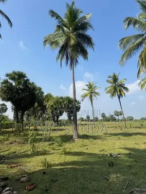 Land for Sale Nilaveli