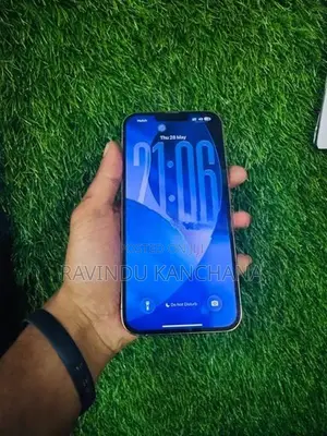 Apple iPhone 13 Pro Max 128GB (Used)