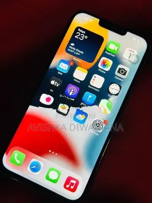 Apple iPhone 13 Pro Max (Used)