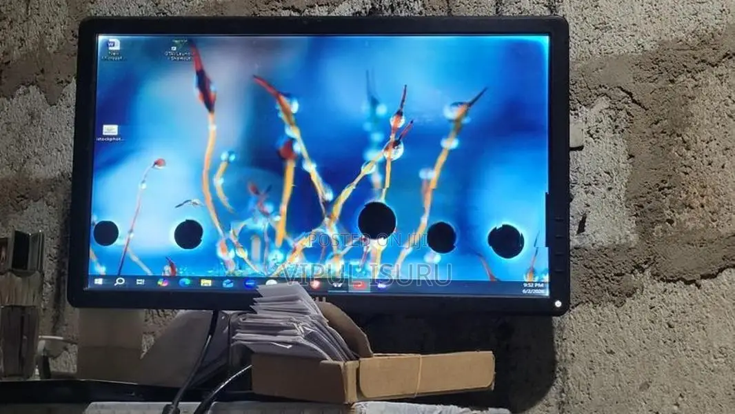 Monitor