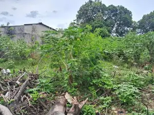 Land for Sale Mount Lavinia