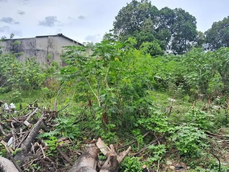 Land for Sale Mount Lavinia