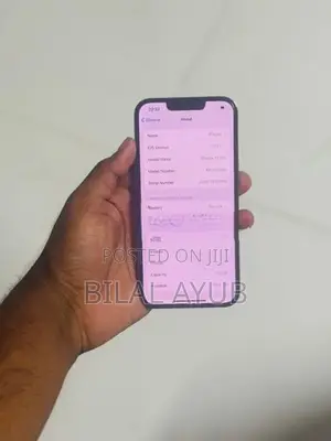 Apple iPhone 13 Pro (Used)