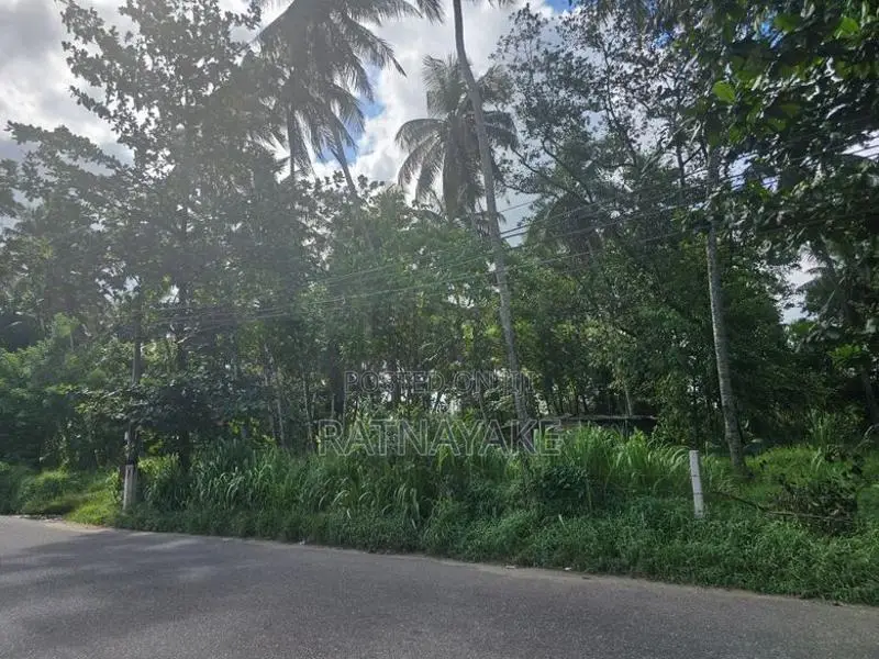 Land for Rent Ranala