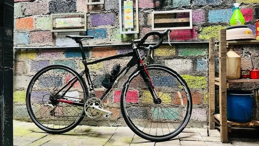 Giant Bicycle