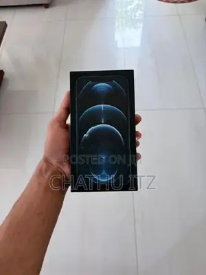 Apple iPhone 12 Pro Max (Used)