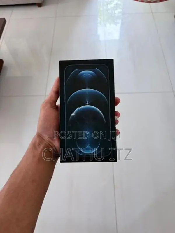 Apple iPhone 12 Pro Max (Used)