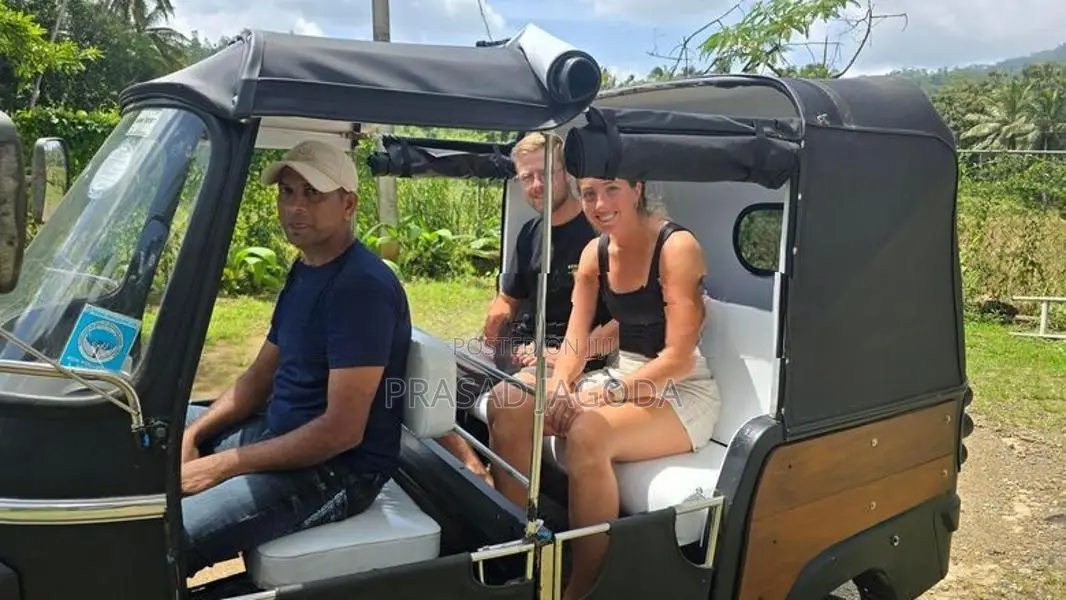 Piaggio Ape 2016