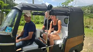 Piaggio Ape 2016