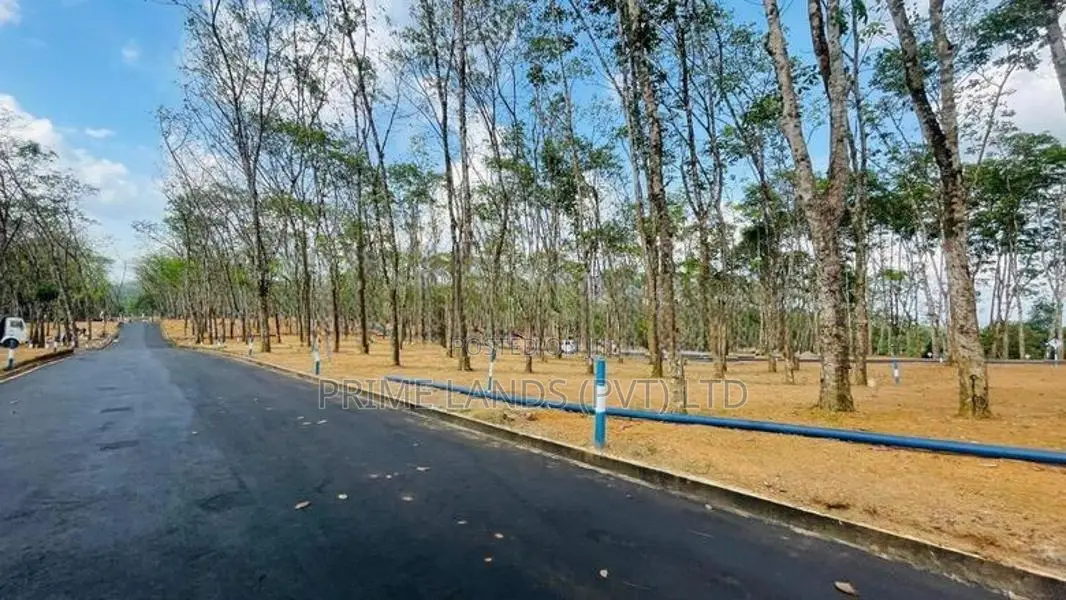 ගොඩගම නේවාසික බිම් කොටස් විකිණීම