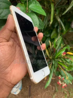 Apple iPhone 7 Plus (Used)
