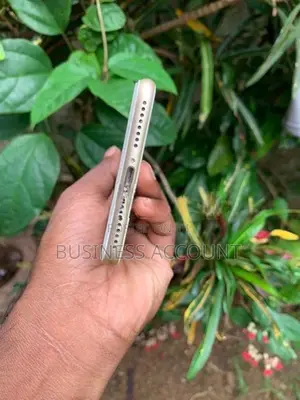 Apple iPhone 7 Plus (Used)