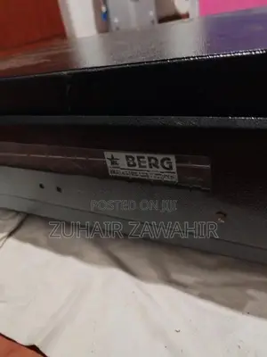 Electric BBQ Grill