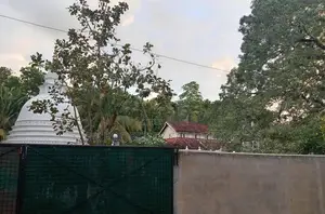 Commercial Property for Rent in Piliyandala (File No 55 C)