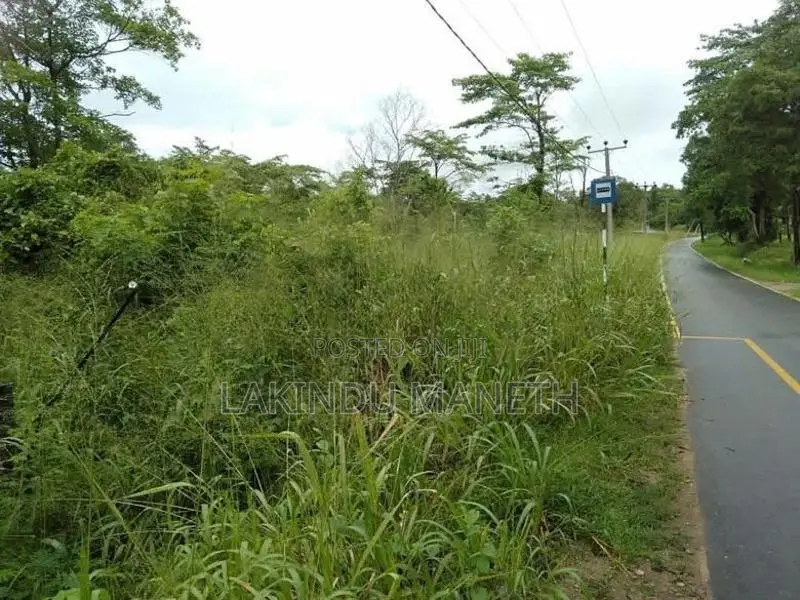 Land For Sale Mahiyanganaya