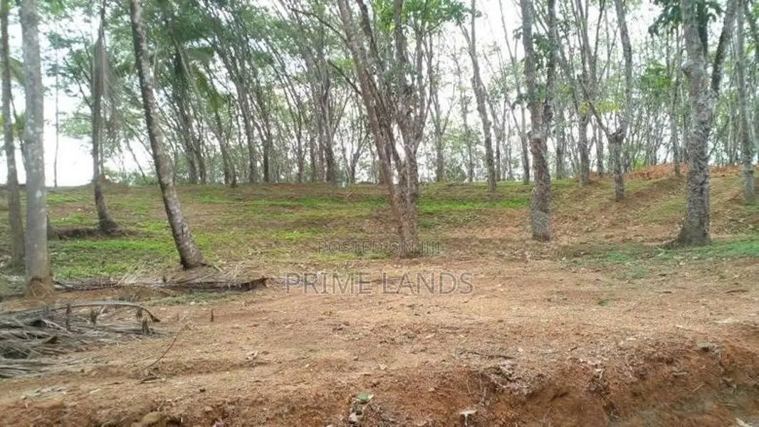 අහංගමින් සංචාරක ව්‍යාපාර සදහා සුදුසු ඉඩමක් විකිණීමට