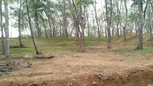 අහංගමින් සංචාරක ව්‍යාපාර සදහා සුදුසු ඉඩමක් විකිණීමට