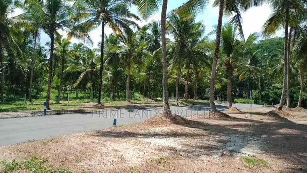 කඩවත 210 බස් මාර්ගට සමීපව බිම් කොටස්