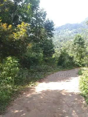 Land for Sale Bandarawela