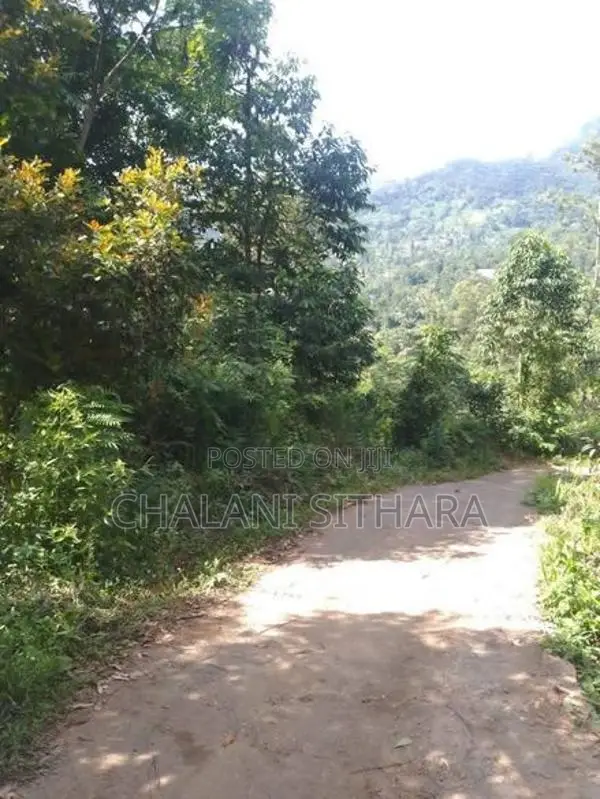 Land for Sale Bandarawela