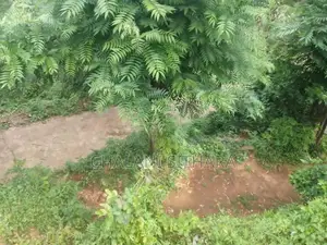 Land for Sale Bandarawela