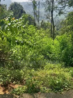 Land for Sale Bandarawela