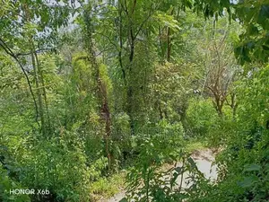 Land for Sale Bandarawela