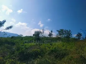 Land for Sale ඇල්ල