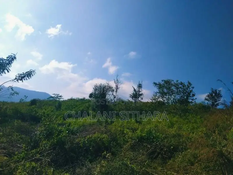 Land for Sale ඇල්ල